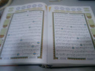 2 GB oder 4 GB Digital Quran Pen Reader mit Tajweed, Geschichte und Tafsir